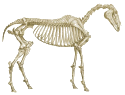 ElectroSpecter