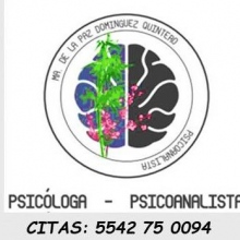 Ma. de la Paz Domínguez, Psicoanalista Ciudad de México