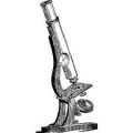 Pascual Orozco Cortéz