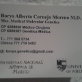Borys A. Cornejo Moreno