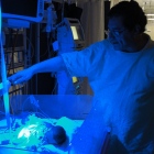 Dr. Rafael Rojas Dominguez