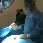 Dr. Luis Rodrigo Diaz Iñiguez