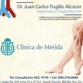 Juan Carlos Trujillo Alcocer