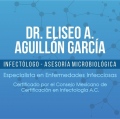 Eliseo Alejandro Aguillón García