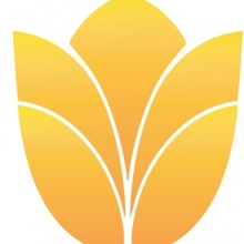 Rocío Márquez Cárdenas, Dermatólogo Guadalajara