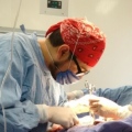 Juan D. Díaz-Rosales