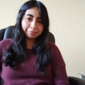 Diana Esmeralda Mendoza Sandoval