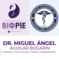 Miguel Angel Aguilar Bogarin