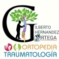 Gilberto Hernández Ortega