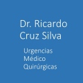 Ricardo Cruz Silva