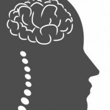 Fernando Lara Torres, Neurocirujano Ciudad de México