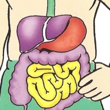 Marcela Cervantes Garduño, Gastroenterólogo pediátrico Ciudad de México
