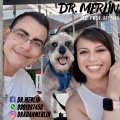 Adán Merlín Becerra