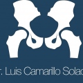 Luis Camarillo Solache