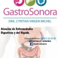 Cynthia Virgen Michel
