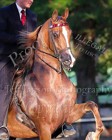 Krohn -Knowlton Photo Shoot