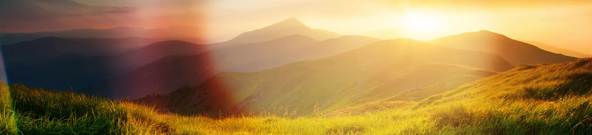 Mountain valley during sunrise. Natural summer landscape