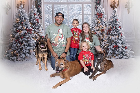 Holiday Portraits at Paws & Effect 11/29/26