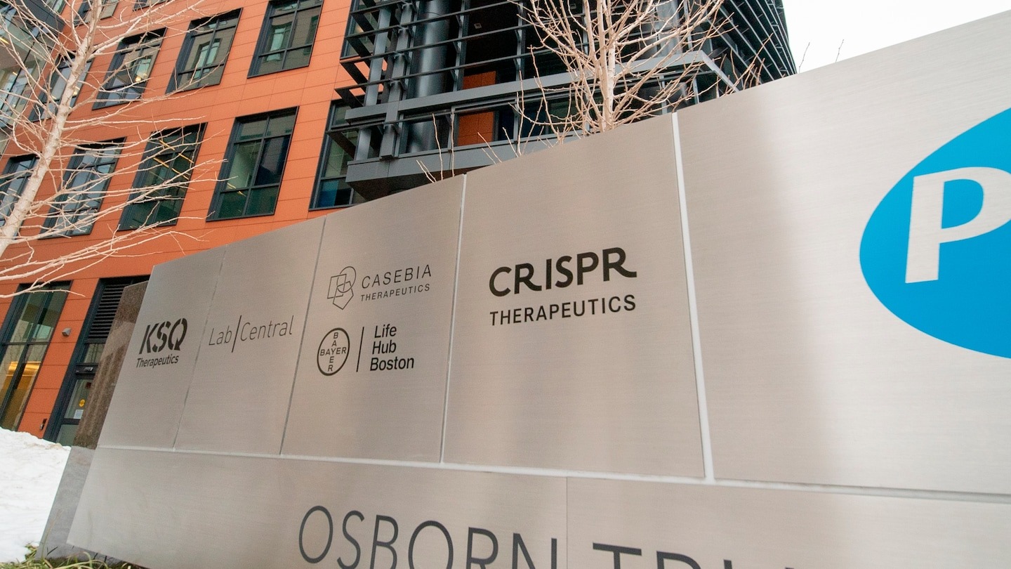 How a ‘one and done’ gene-editing treatment could lower cholesterol