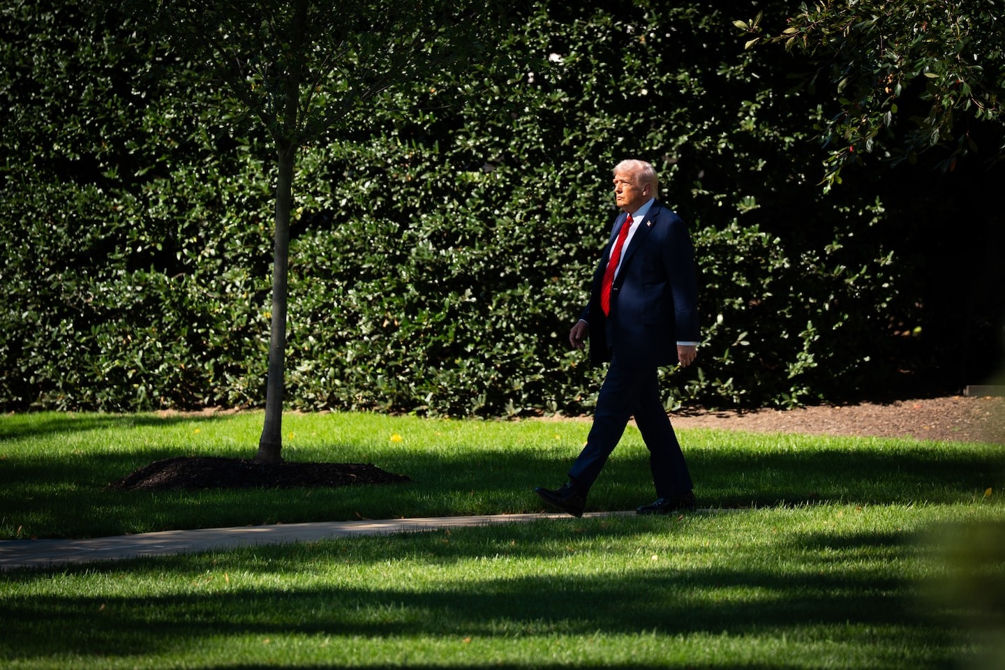 Weißes Haus: Trump unterzog sich einer MRT-Untersuchung zur „präventiven“ ...