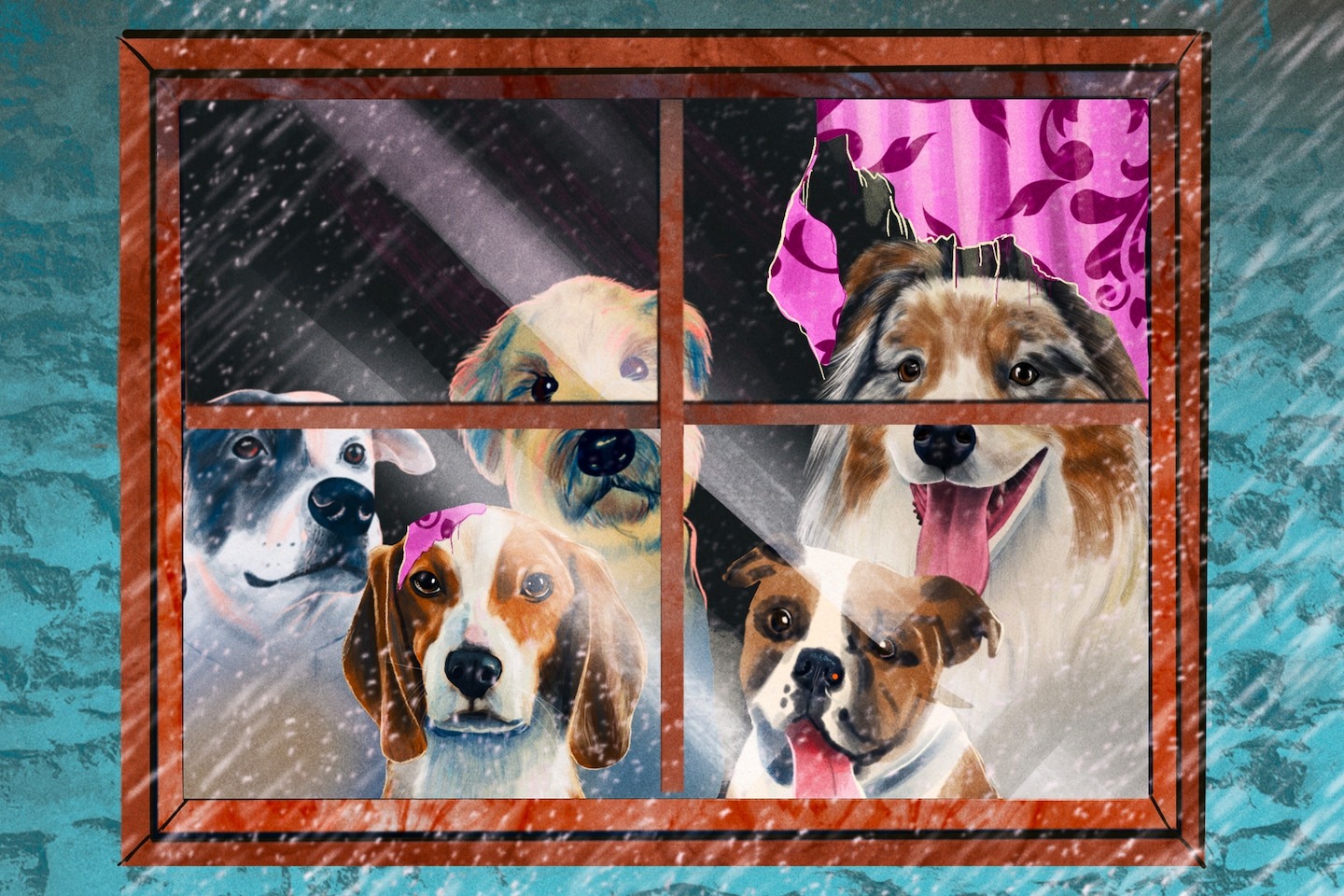 Tips to keep dogs happy when it’s too hot or cold for walks