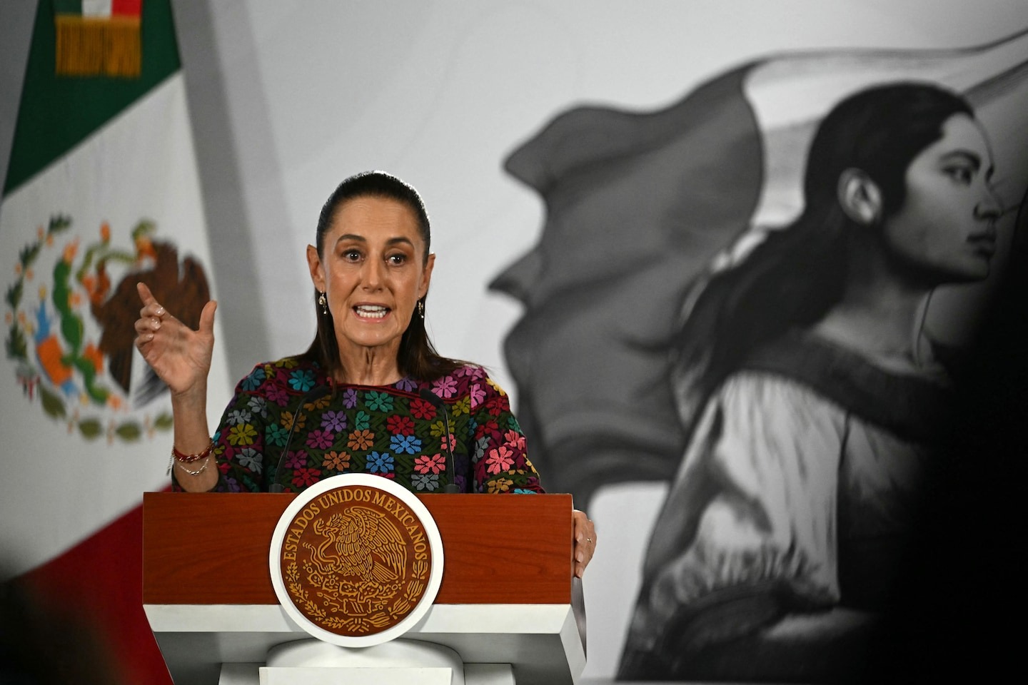 Mexico demands criminal investigations into ICE killings