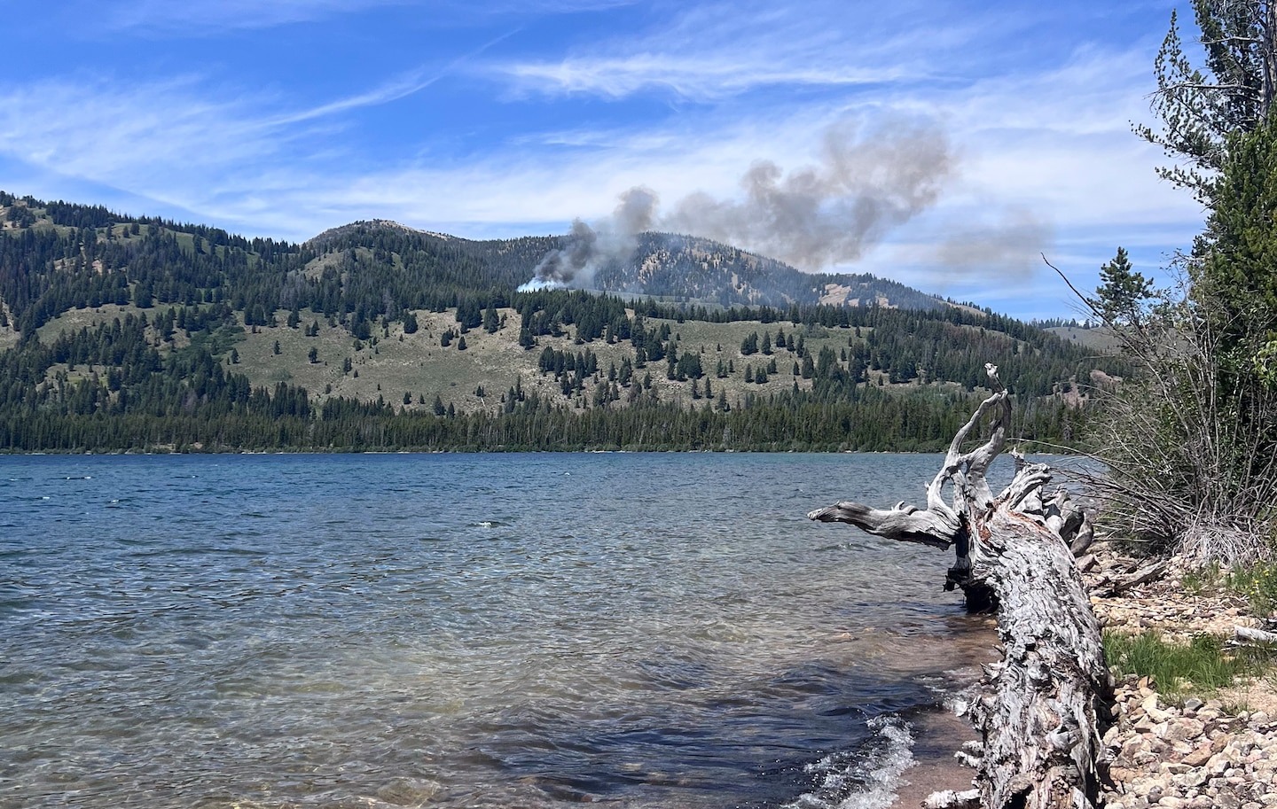 Top Trump official asked for more resources to fight a small fire near his ...