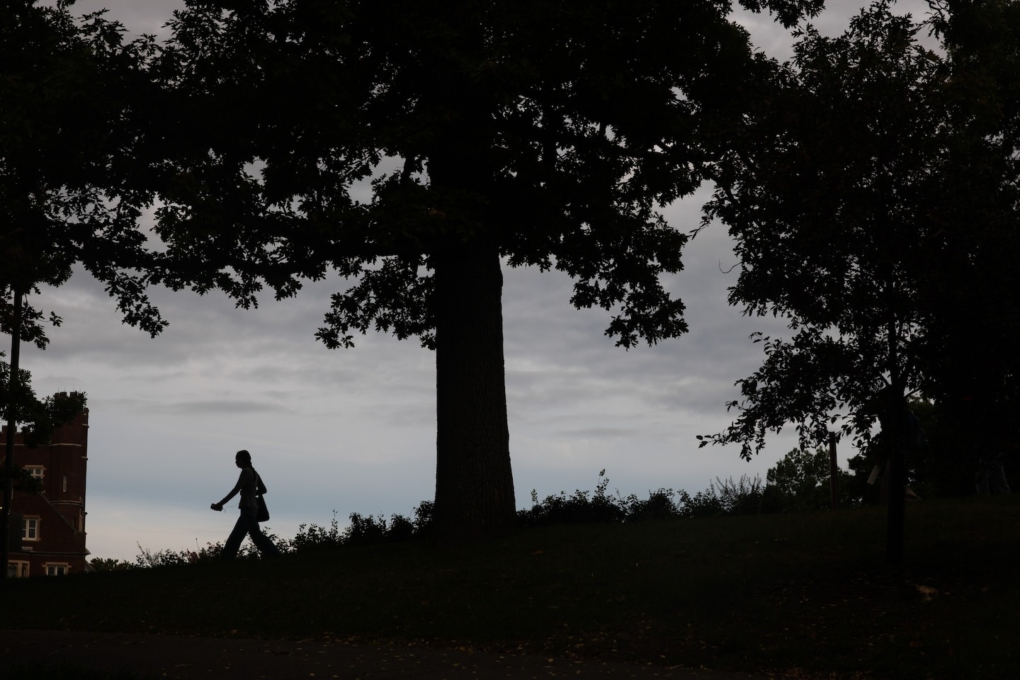 Cornell rape allegations reignite debate over laws on intoxication and ...