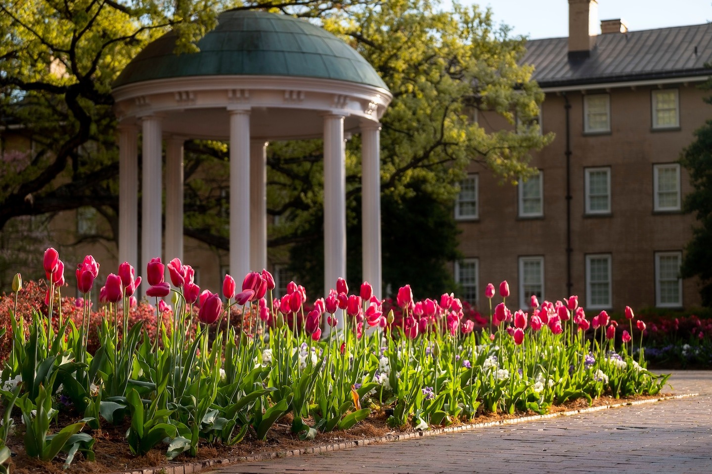 Die University of North Carolina erzielt eine Einigung mit der ...