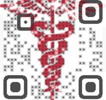 Visual QR Code