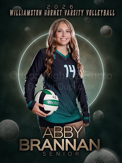 Williamston Volleyball Banners: Merritt Press
