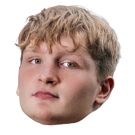 Williamston Football Fatheads: Merritt Press