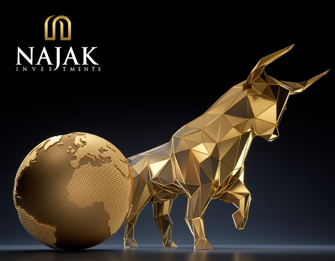 najak-investments-about-us