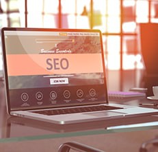 Overall SEO Expertise