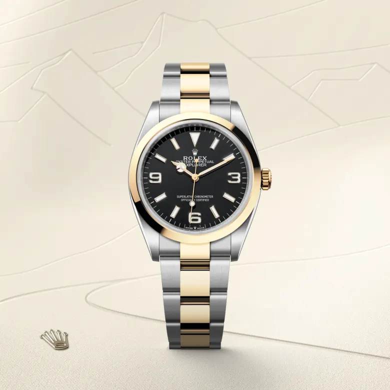 Rolex Explorer in Yellow Rolesor - combination of Oystersteel and yellow gold, M124273-0001 - Exclusively Diamonds