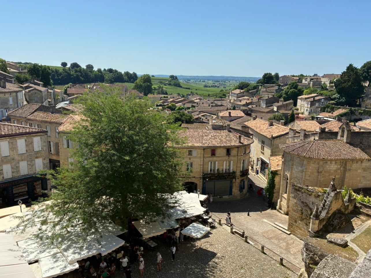 A city with a tree and buildings
AI-generated content may be incorrect.