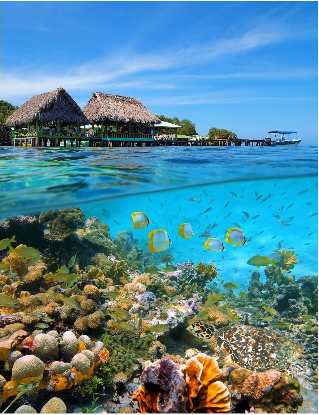 Isla Colón is Bocas’ main hub with connections to other islands and the mainland.