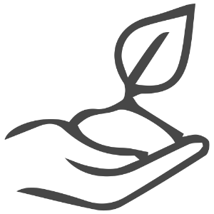 icon1