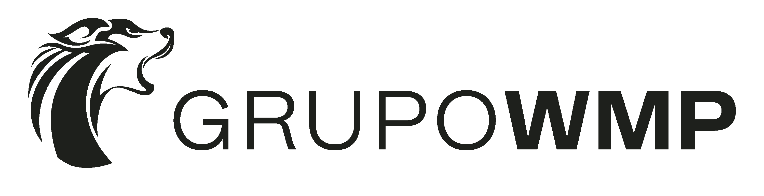Grupo WMP