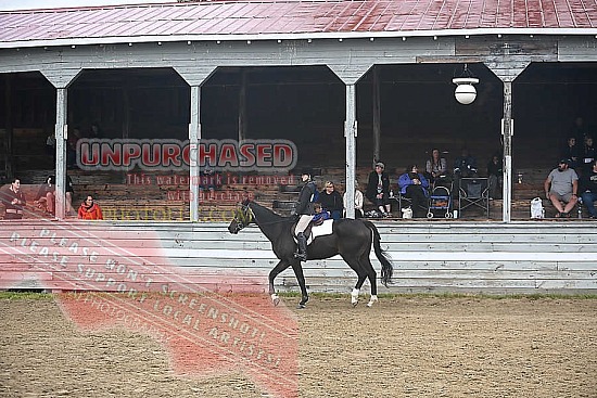 White Mountain Riding Club 8/29/25