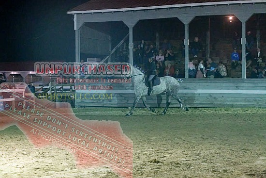 2025 Lancaster Fair Horse Show