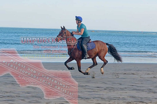 Horses on Hampton 100725