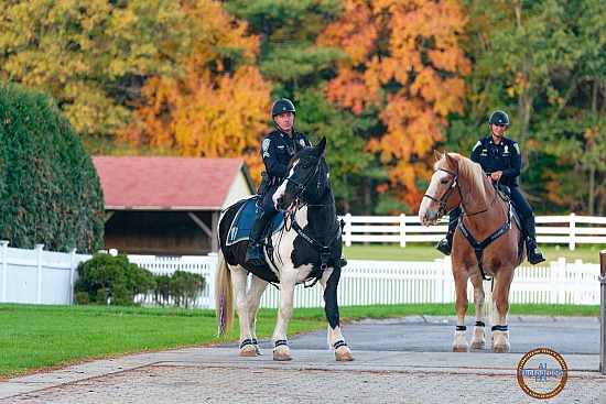 Harvest with the Horses