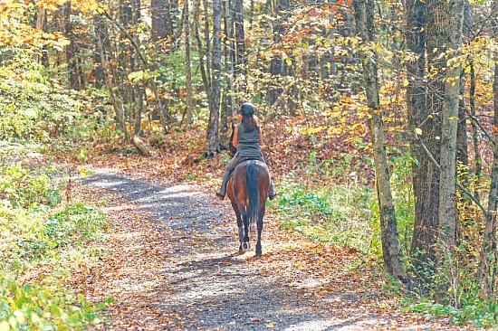 Lisa and JC 10/19/25