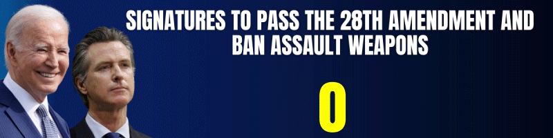 Signatures to pass the 28th Amendment and ban assault weapons