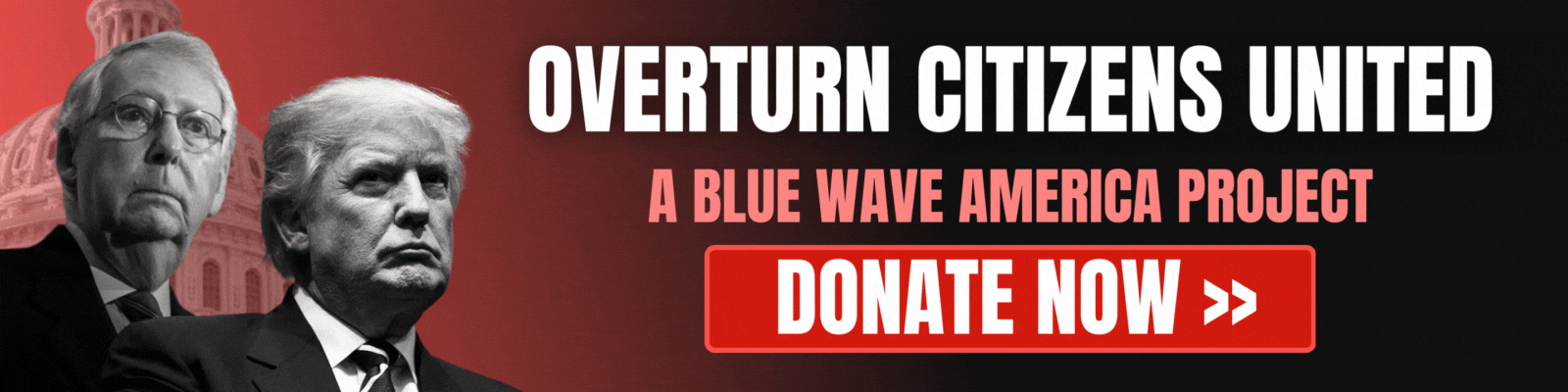 Blue Wave America: Overturn Citizens United
