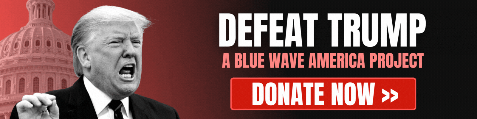 Blue Wave America: Defeat Donald Trump