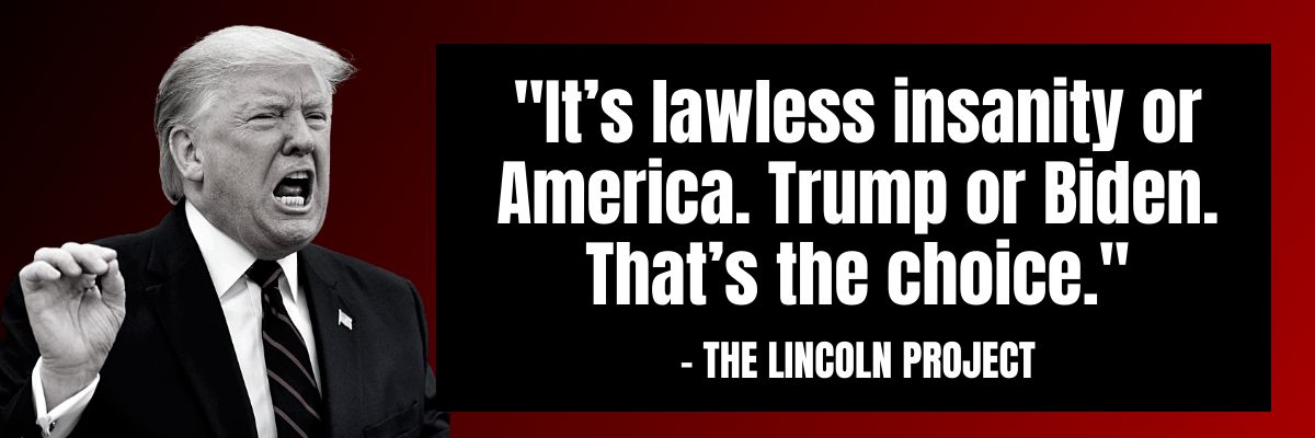 The Lincoln Project: It's lawless insanity or America. Trump or Biden. That's the choice.