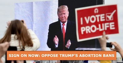 Anti-abortion demonstrators listen to President Donald Trump as he speaks at the 47th annual "March for Life." One is holding up a sign reading "I vote pro-life."