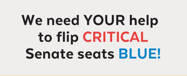 We need your help to flip critical Senate seats blue!